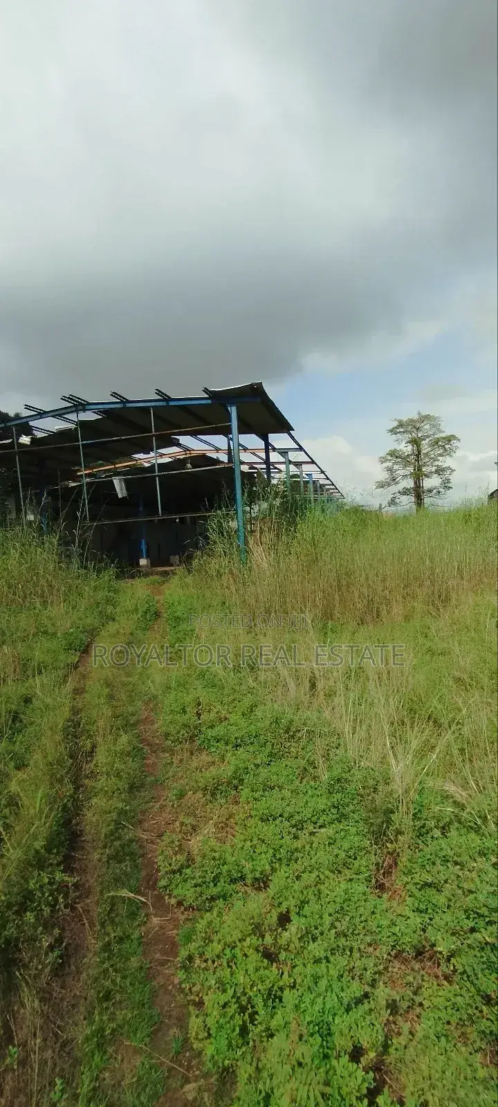 96 Plots of Land Fenced Gated Along Iyowa Main Road