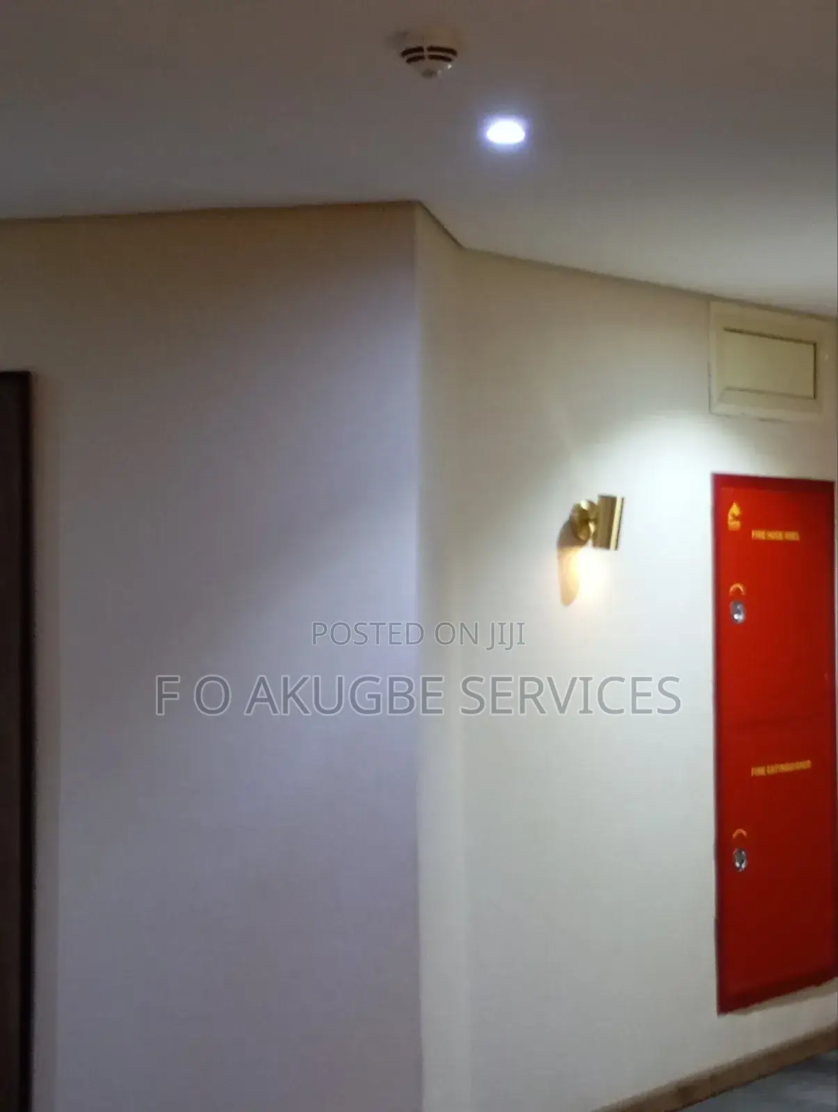 Professional Painter