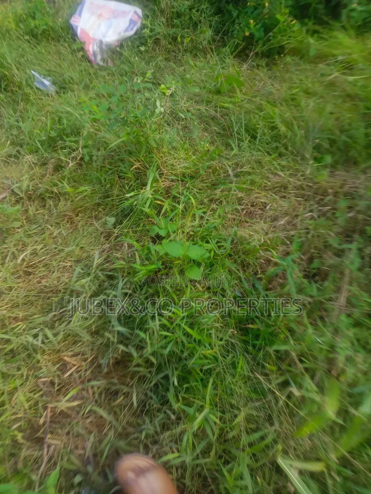 Acres of Farm Land at Eredo Owode