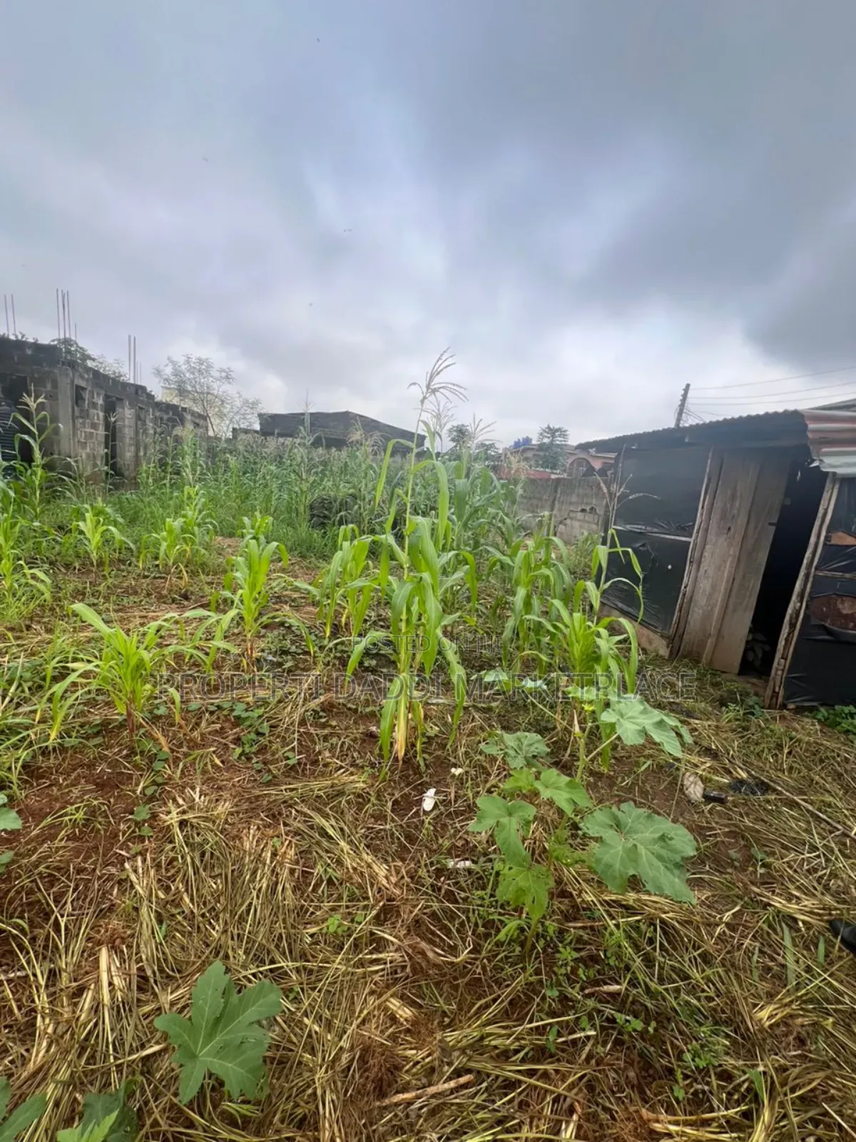 Half Plot of Land for Sale in Ipaja