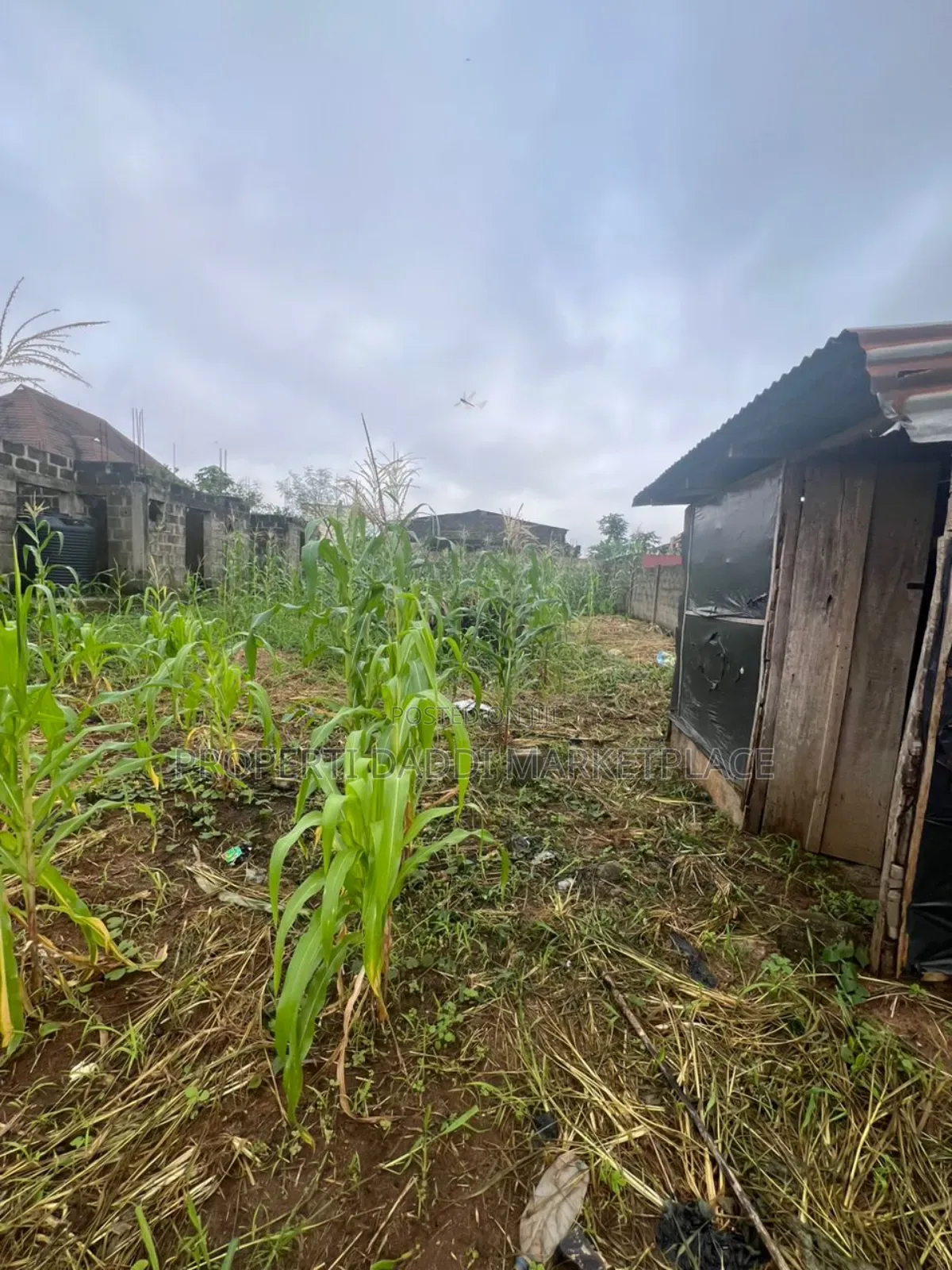 Half Plot of Land for Sale in Ipaja