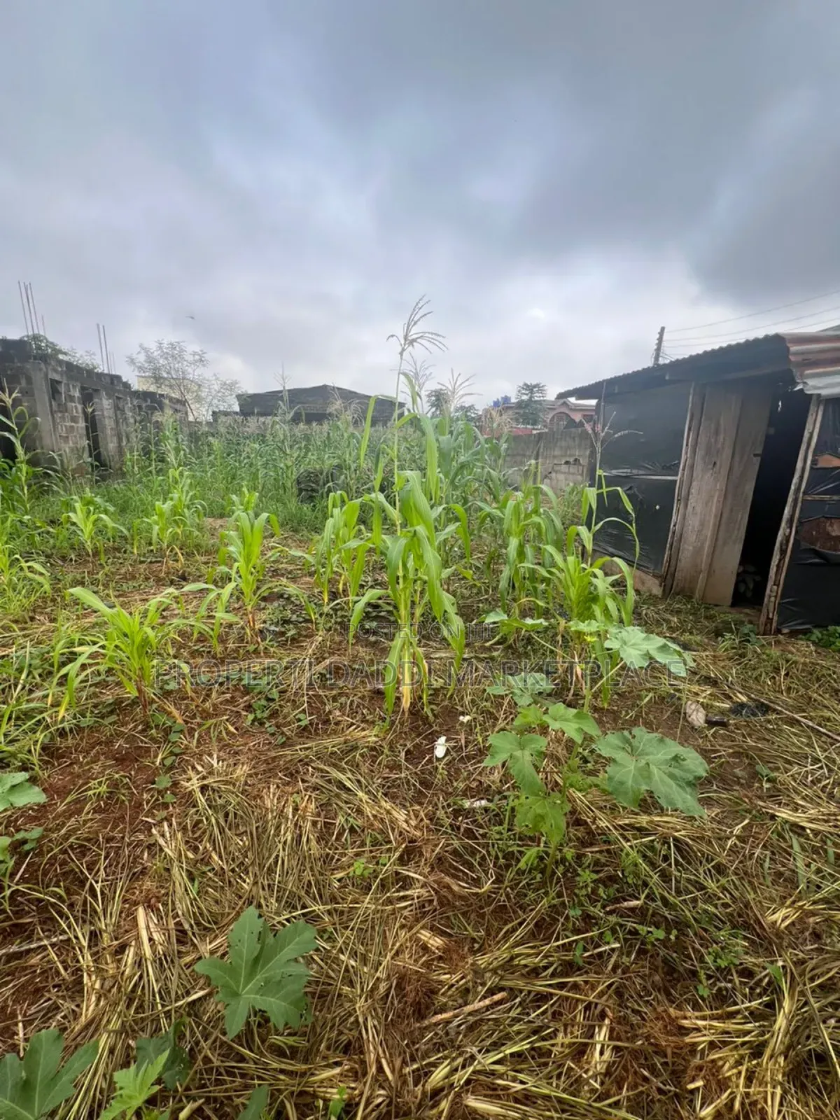 Half Plot of Land for Sale in Ipaja