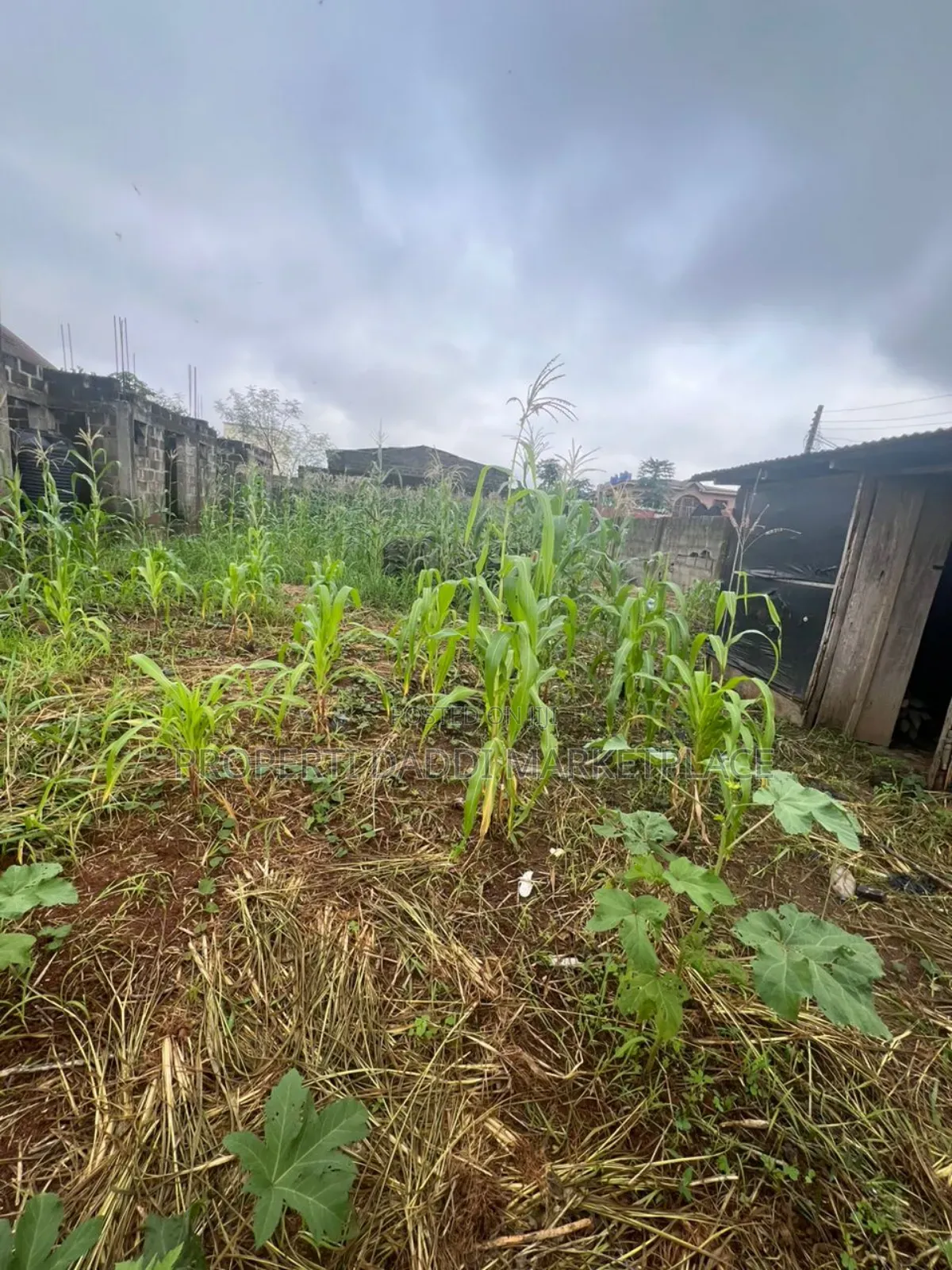 Half Plot of Land for Sale in Ipaja