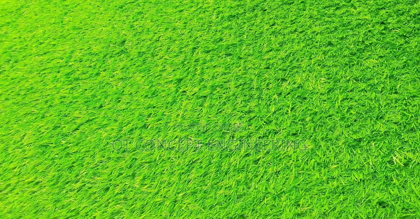 Floor Decoration and Astroturf Installation