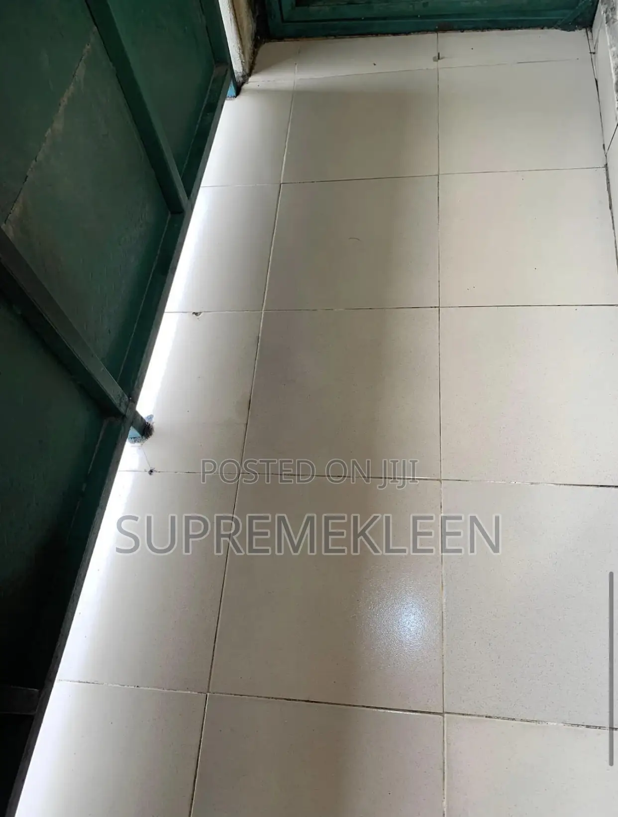 Home Apartment Professional Detailed Cleaning Service