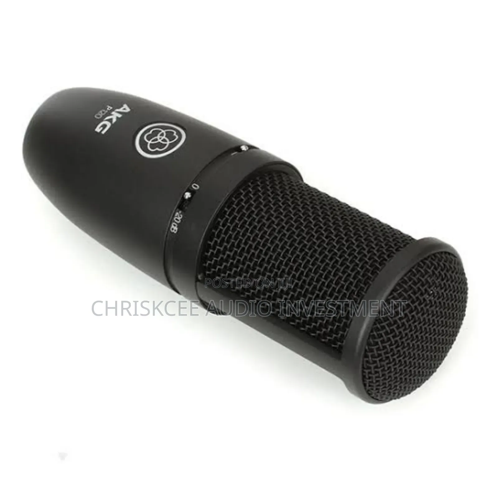 AKG P120 Studio Condenser Microphone