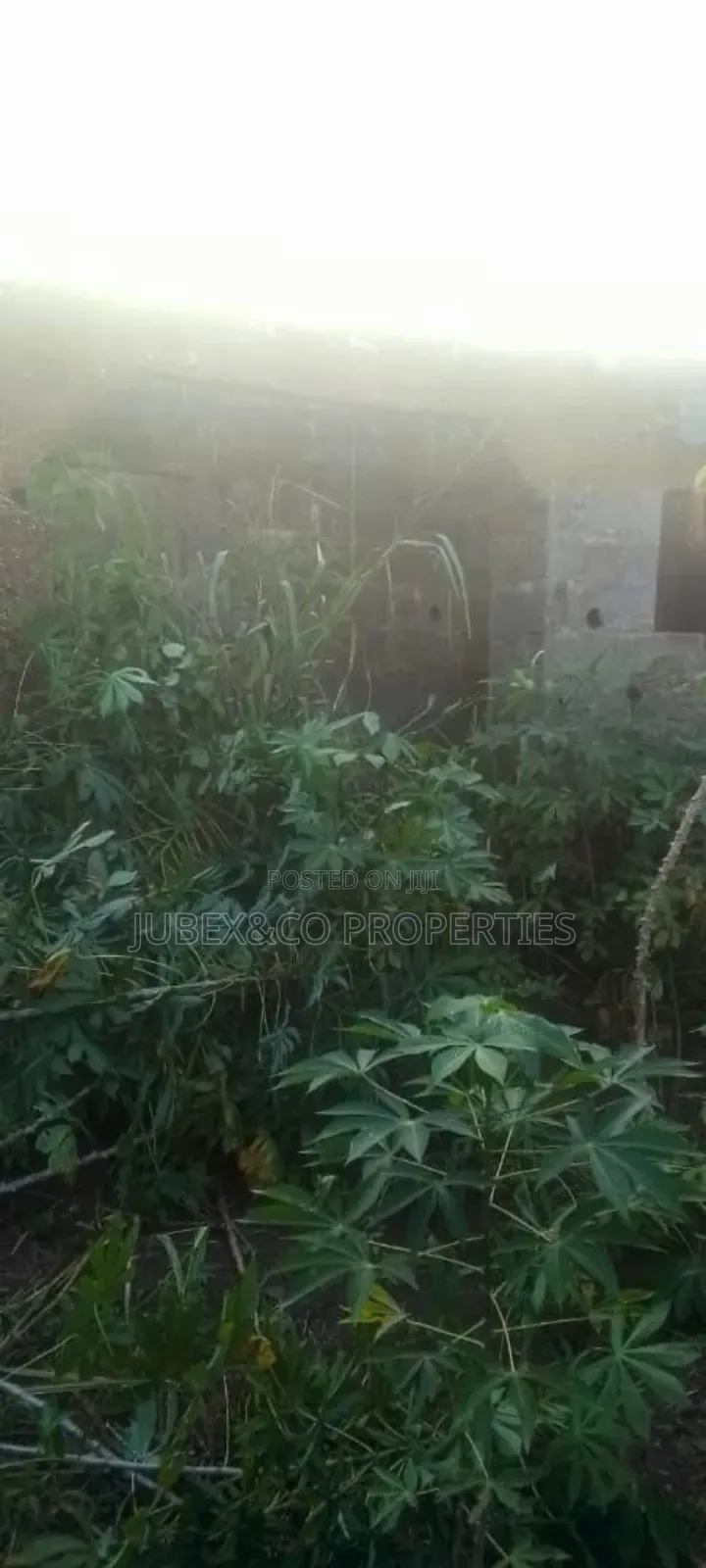 Plots of Land at Ipaja Lagos