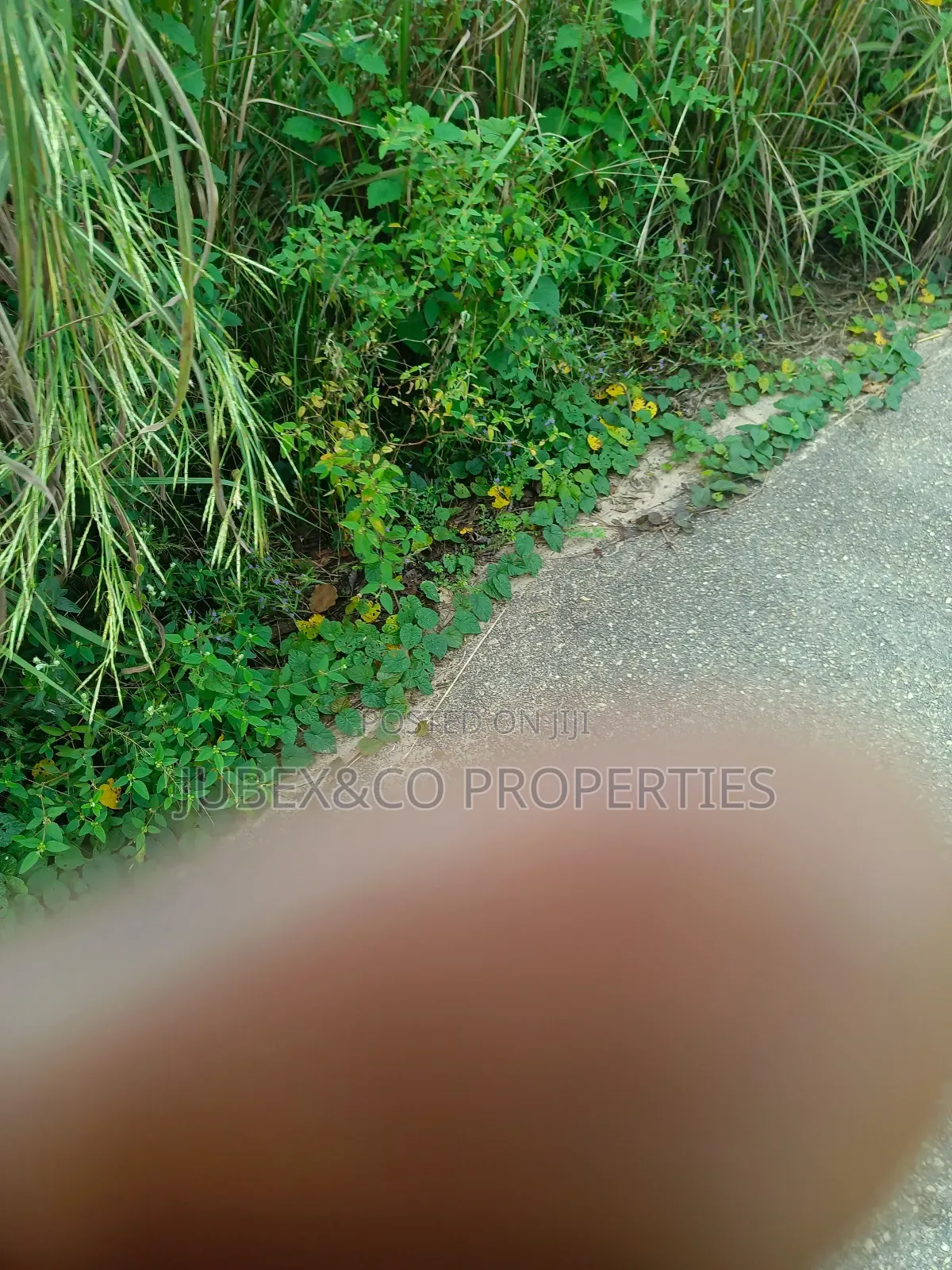 Plots of Land at Ipaja Lagos