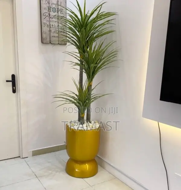 Yucca Plant Potted With 60cm Tumbler Fiberglass Planter
