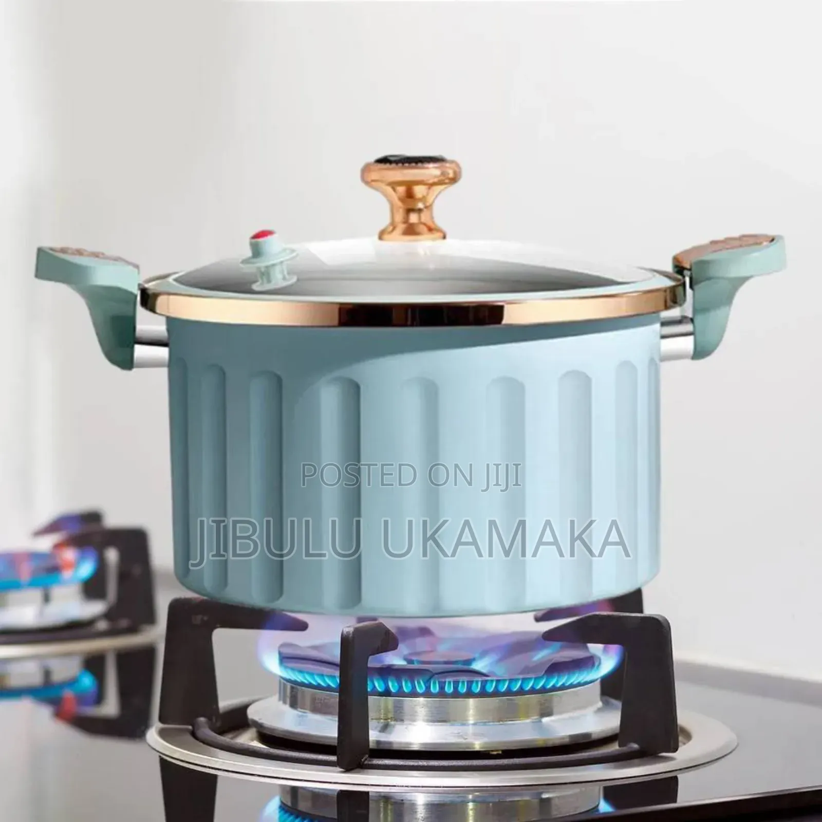 28 Cm Pressure Pot