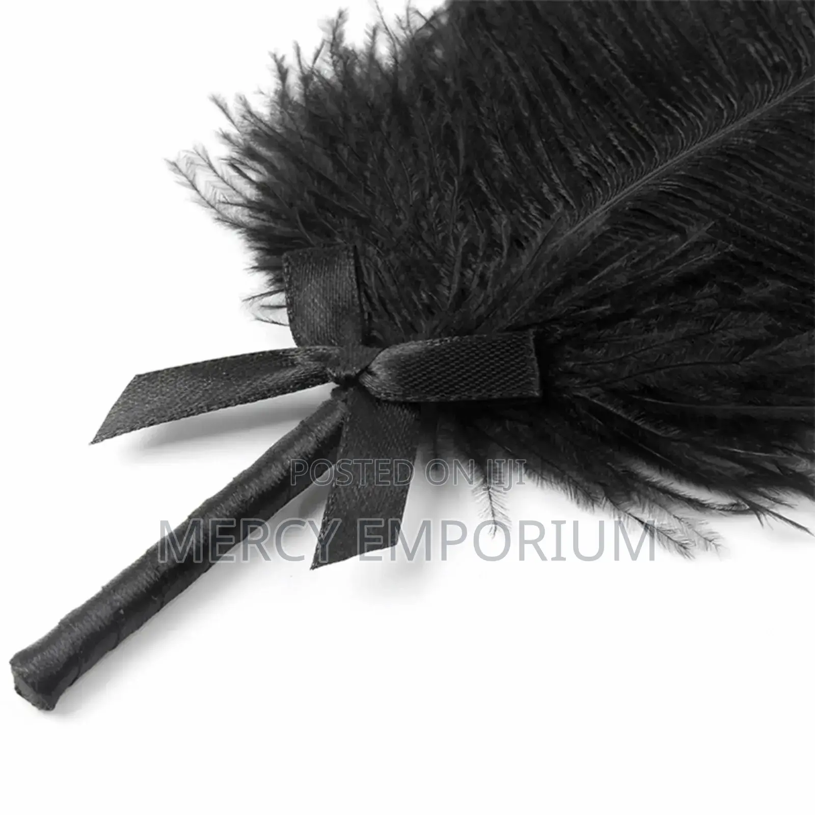 Teasing Feather BDSM Role Play for Couples