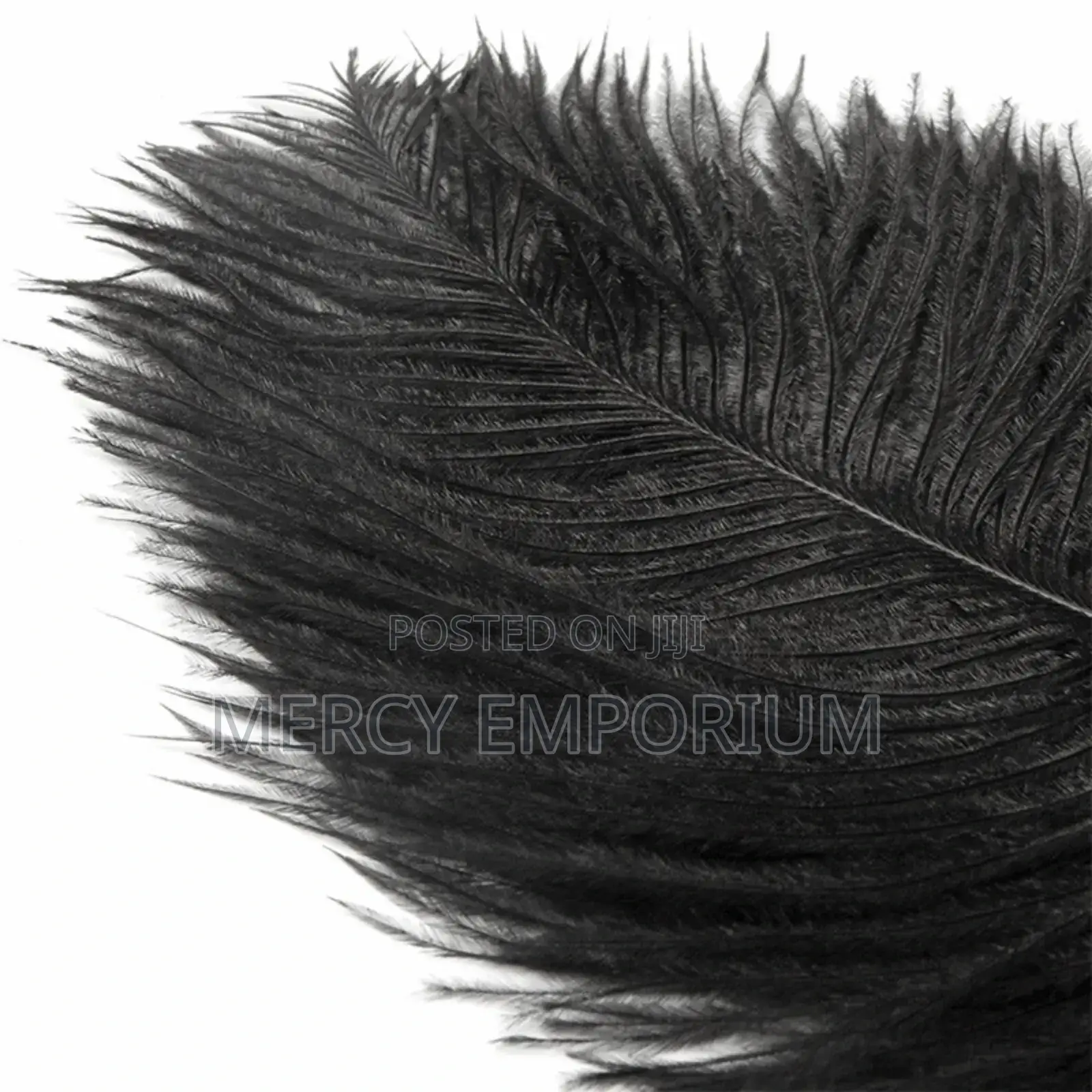 Teasing Feather BDSM Role Play for Couples