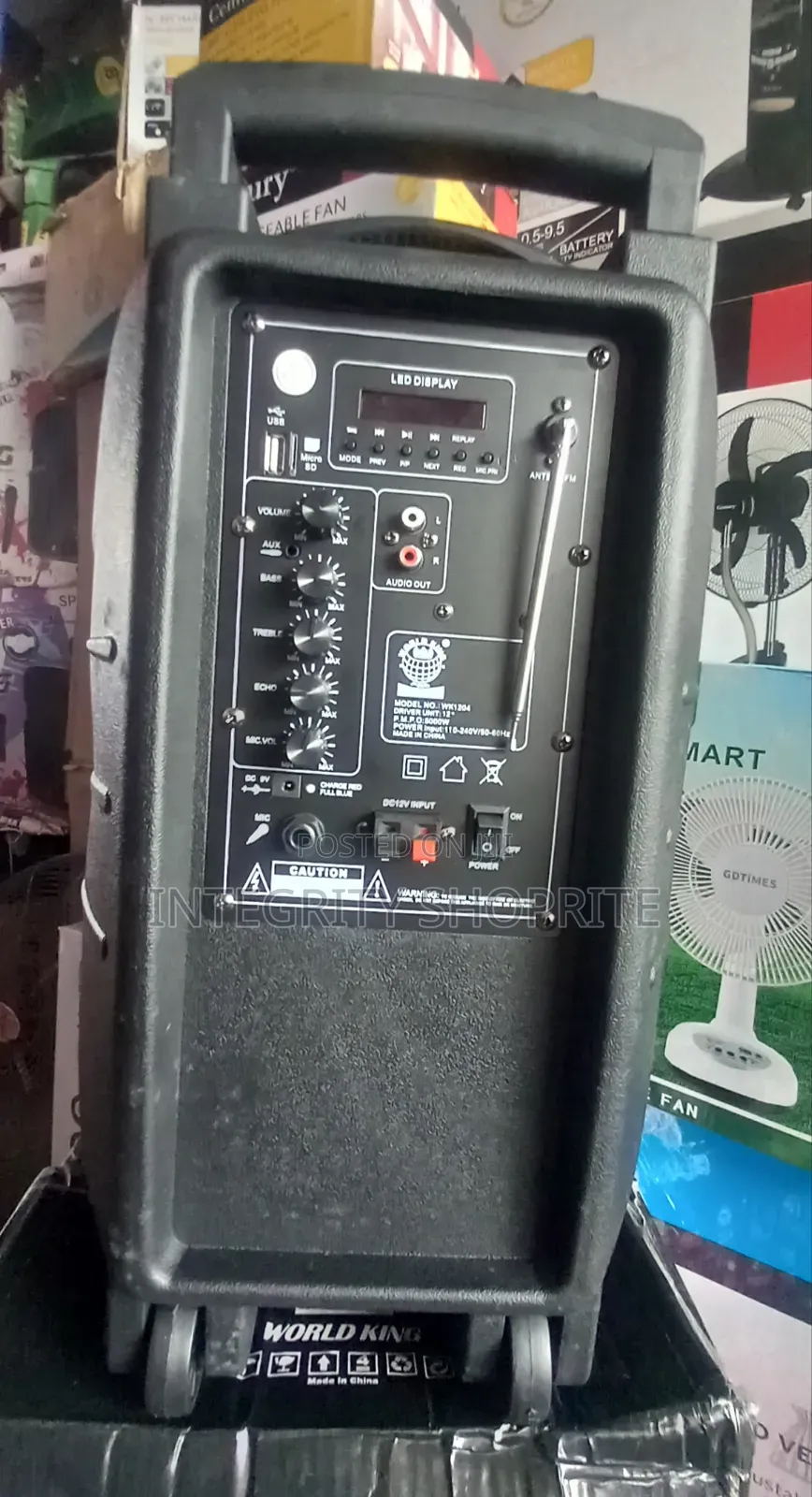 Rechargeable Public Address System - 12"