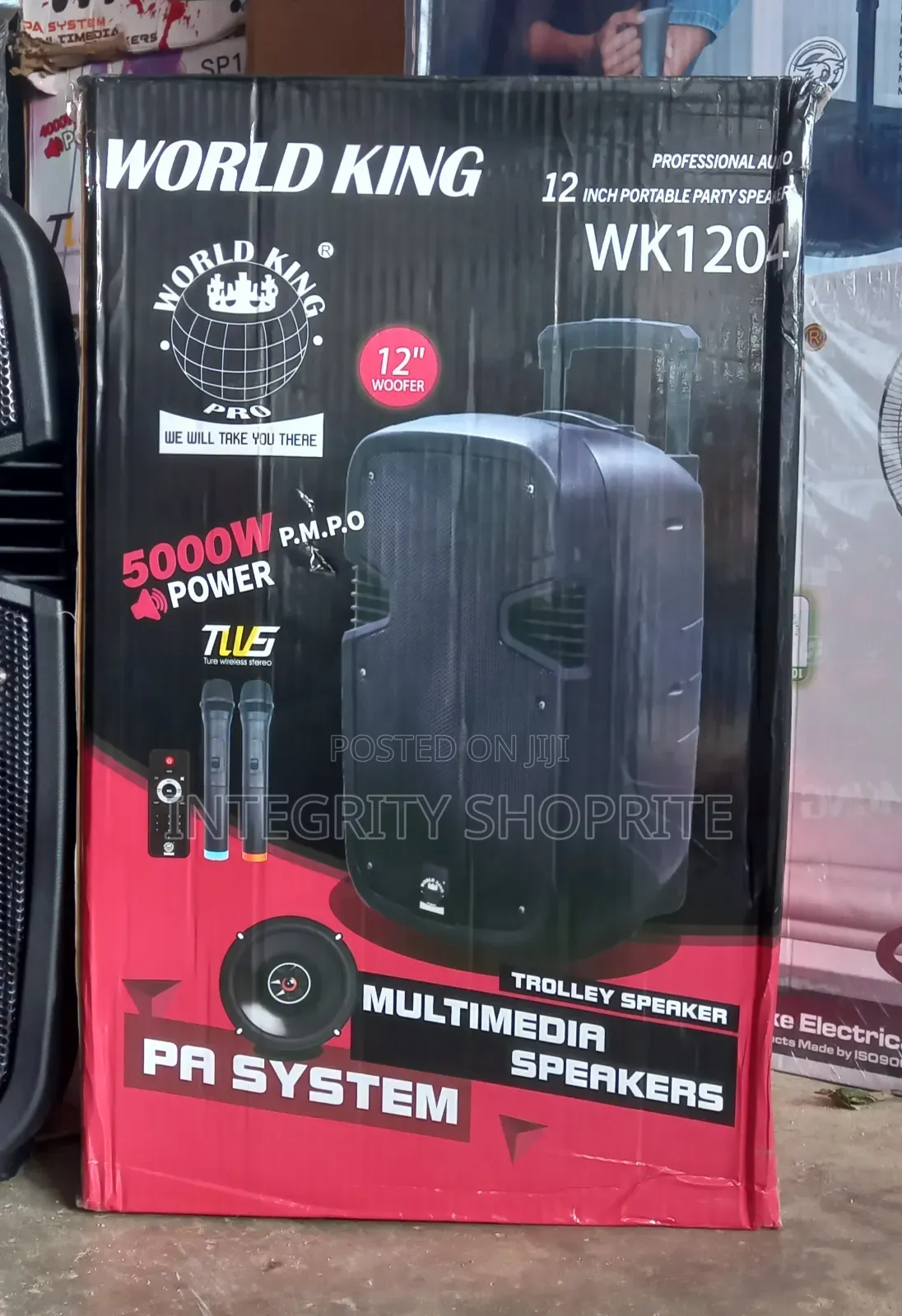 Rechargeable Public Address System - 12"
