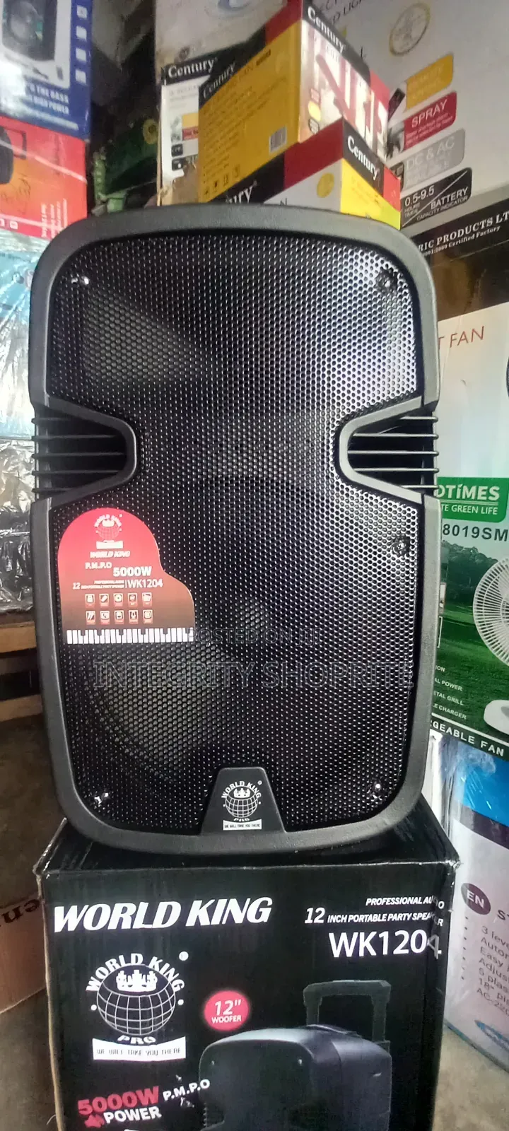 Rechargeable Public Address System - 12"