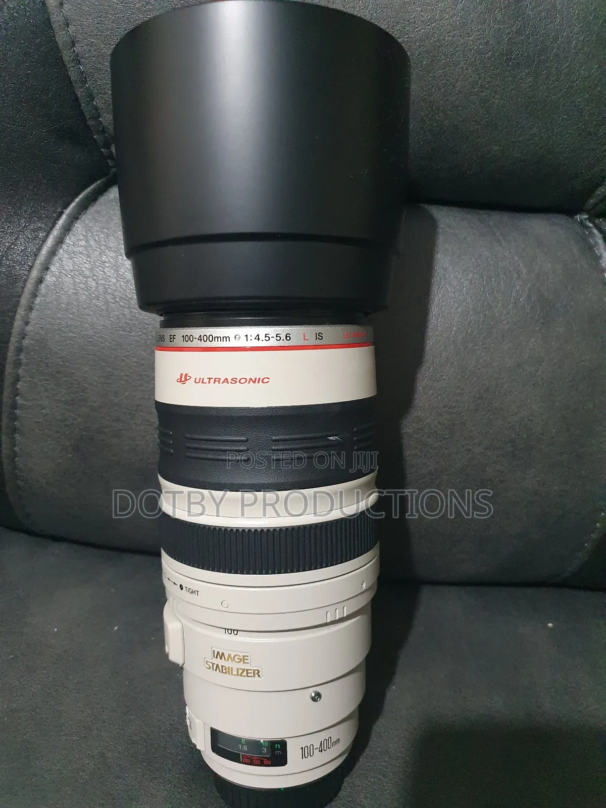 Canon EF 100-400mm Lens