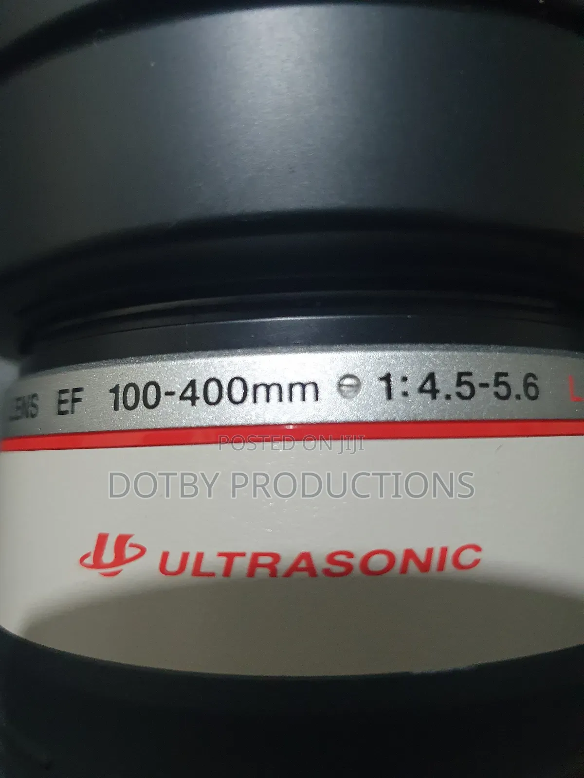 Canon EF 100-400mm Lens