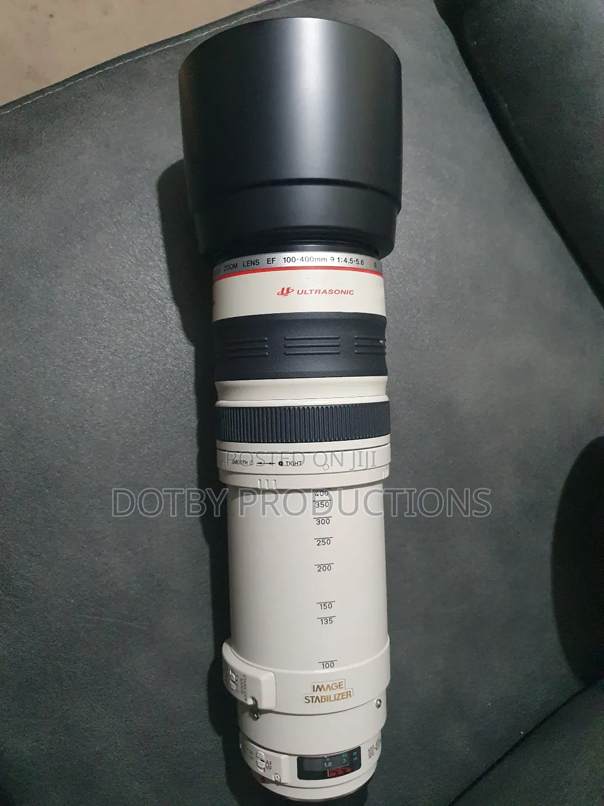 Canon EF 100-400mm Lens