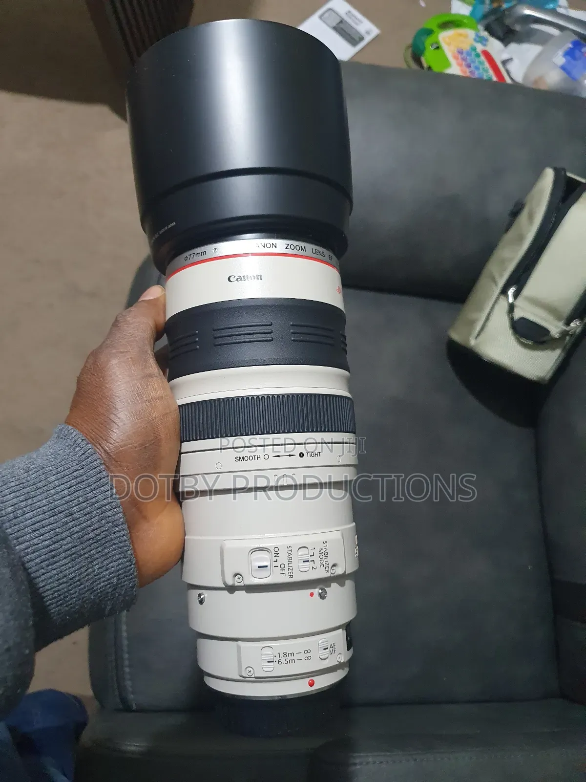 Canon EF 100-400mm Lens
