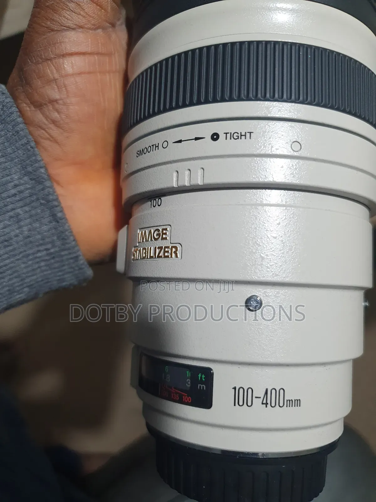Canon EF 100-400mm Lens