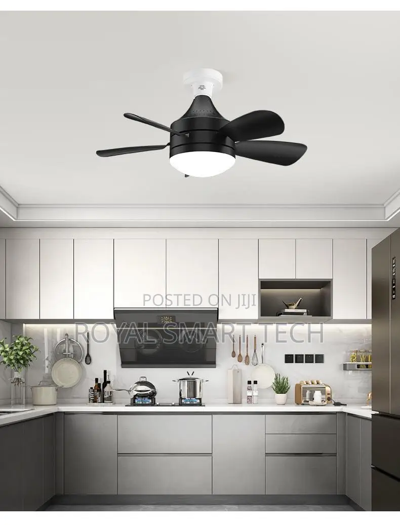 Plug-in Fan Light