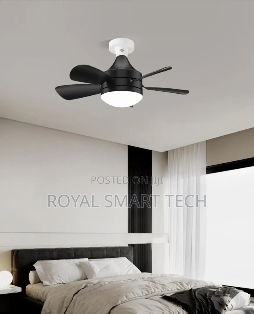 Plug-in Fan Light