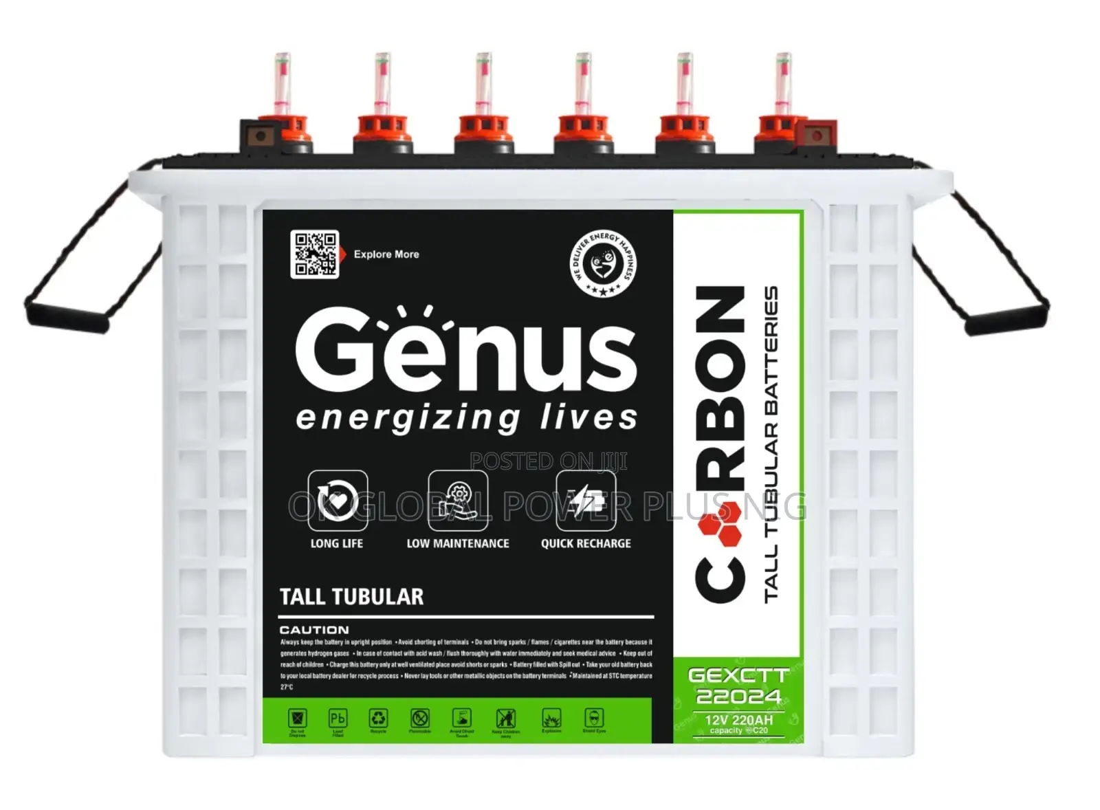 GENUS 220ah/12v C10 Carbon Tubular Battery