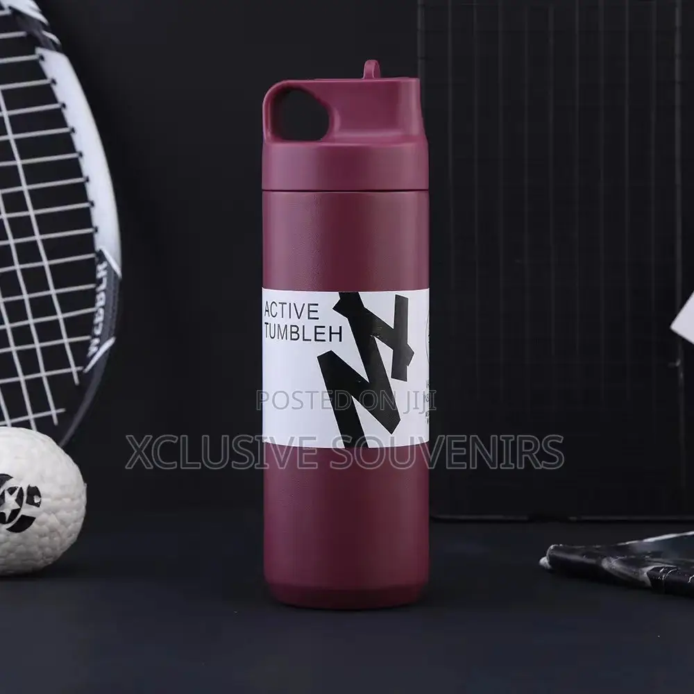 500ml Modern Stainless Steel Vacuum Insulated Water Bottle
