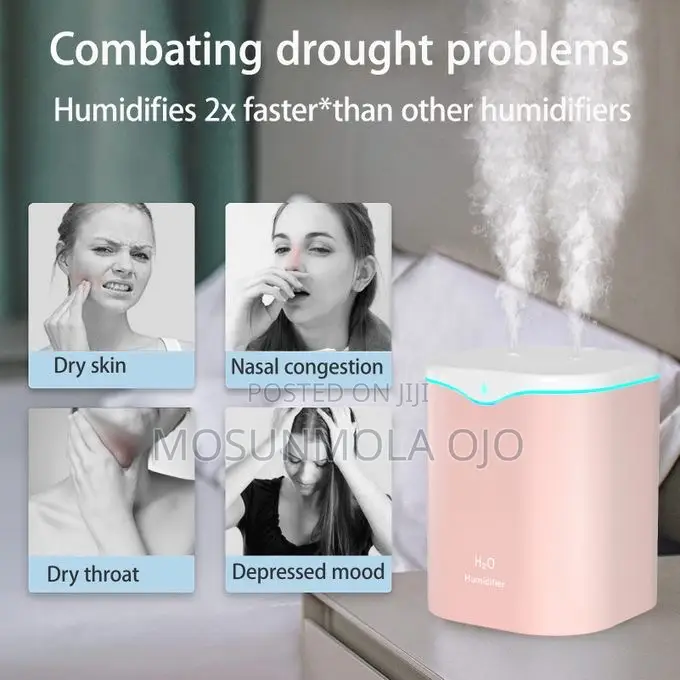 2L Double Spray Humidifiers LED Light