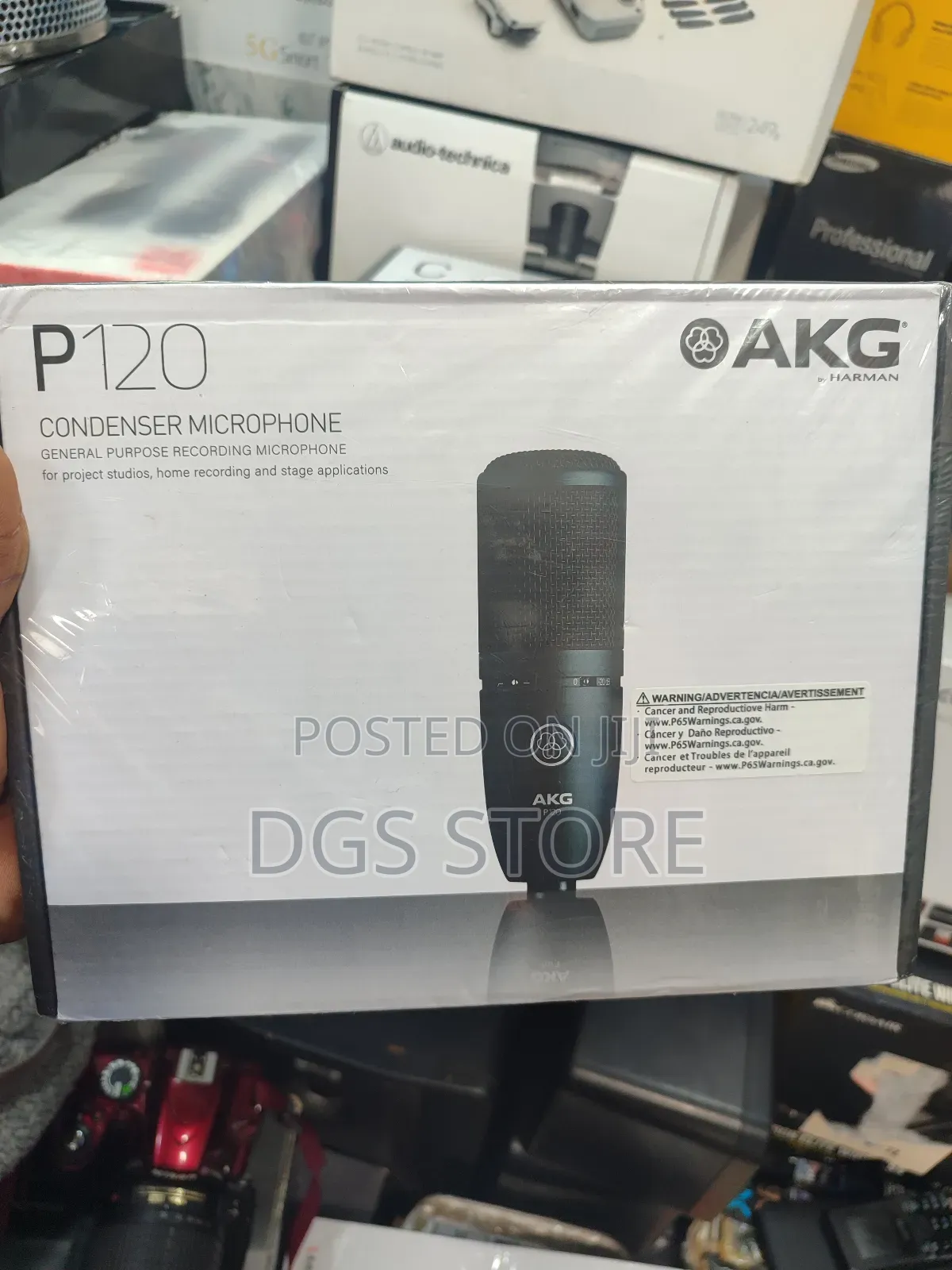 AKG P120 Condenser Microphone