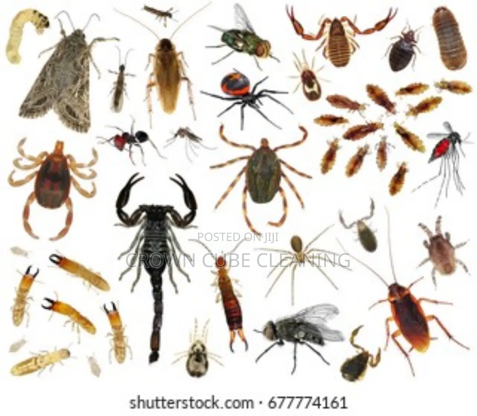 Top Best Fumigation Services in Ikeja