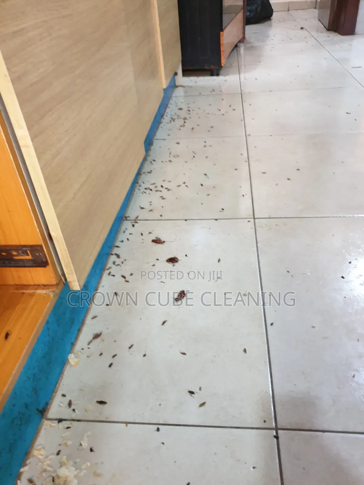 Top Best Fumigation Services in Ikeja