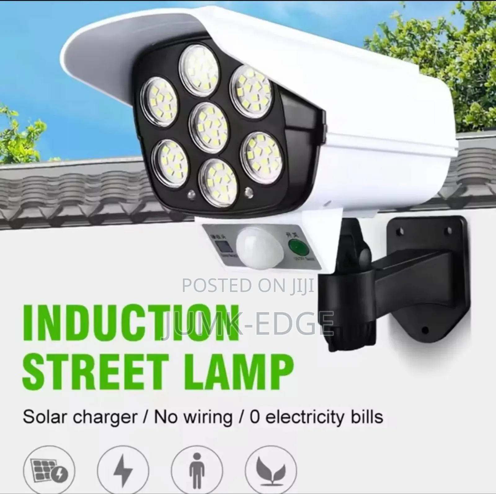 Induction Street Lamp