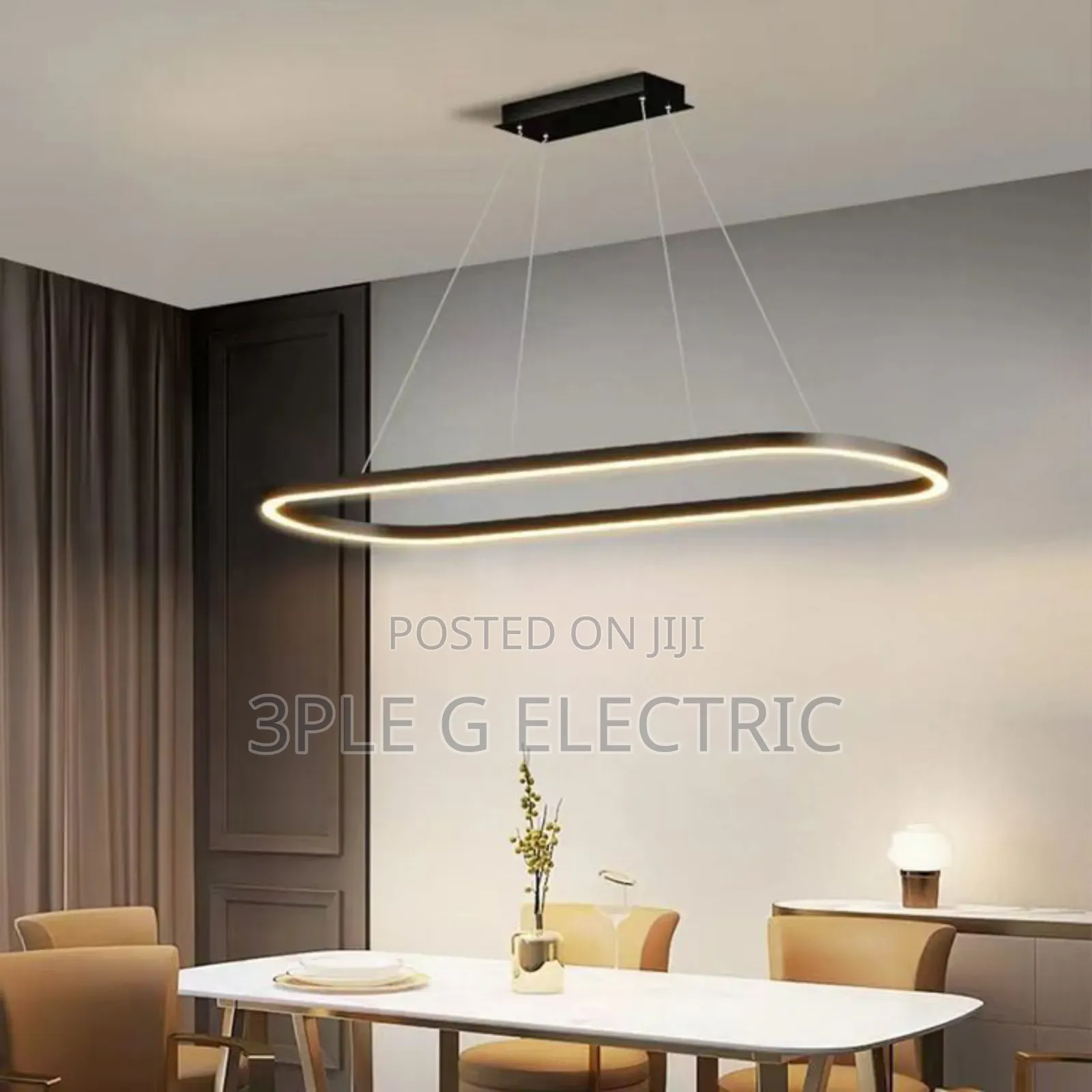 Morden Ceiling Lamp