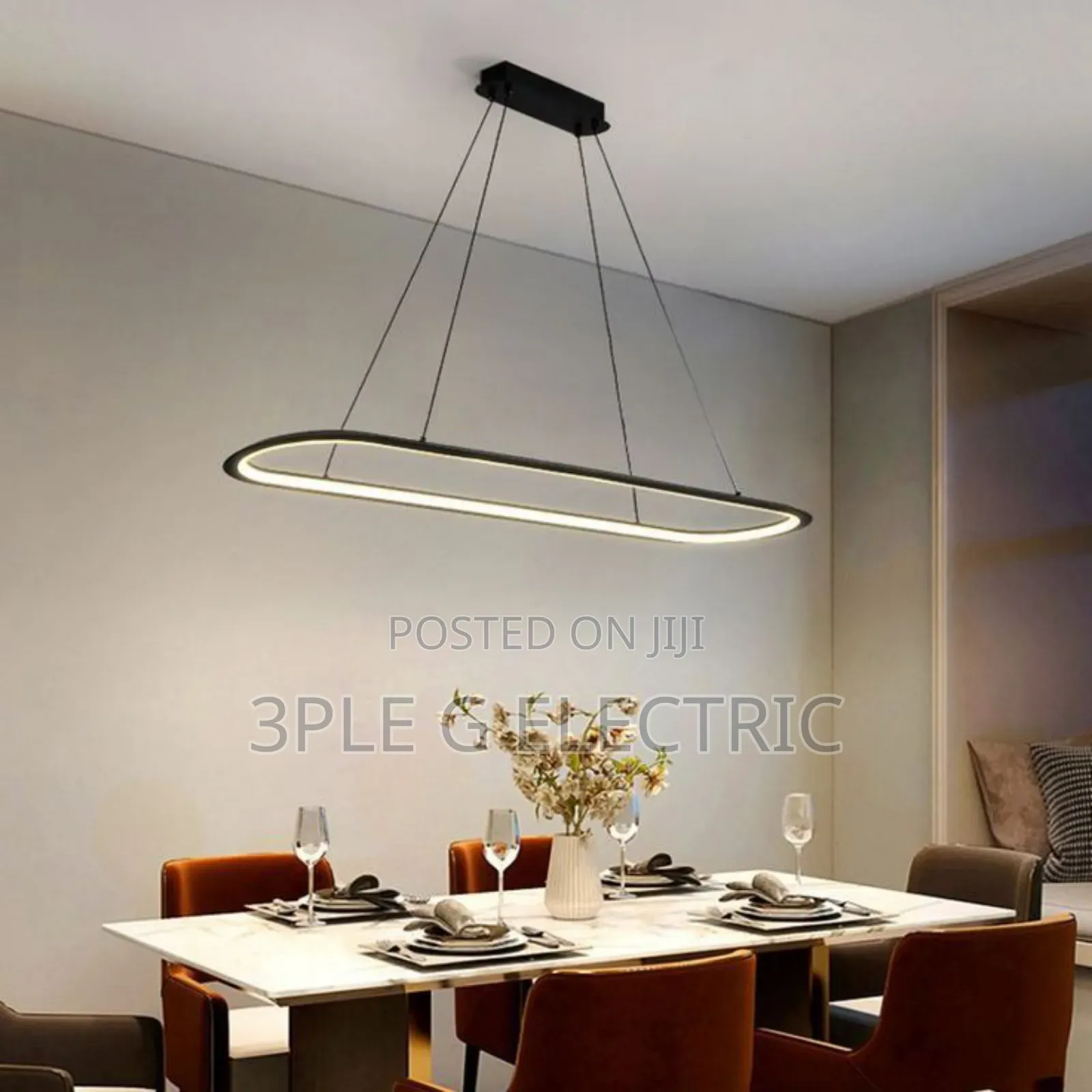 Morden Ceiling Lamp