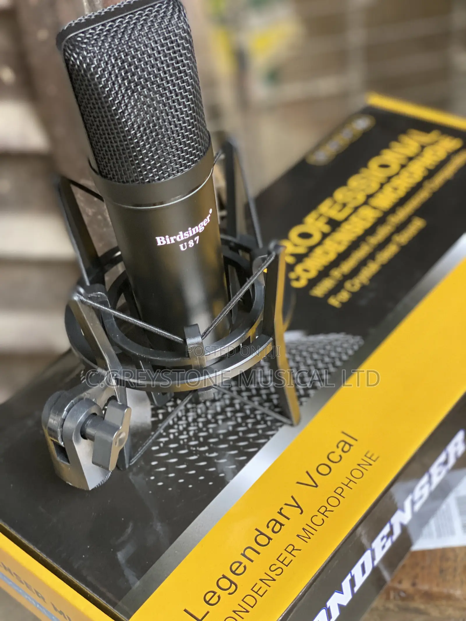 U87 Studio Microphone 