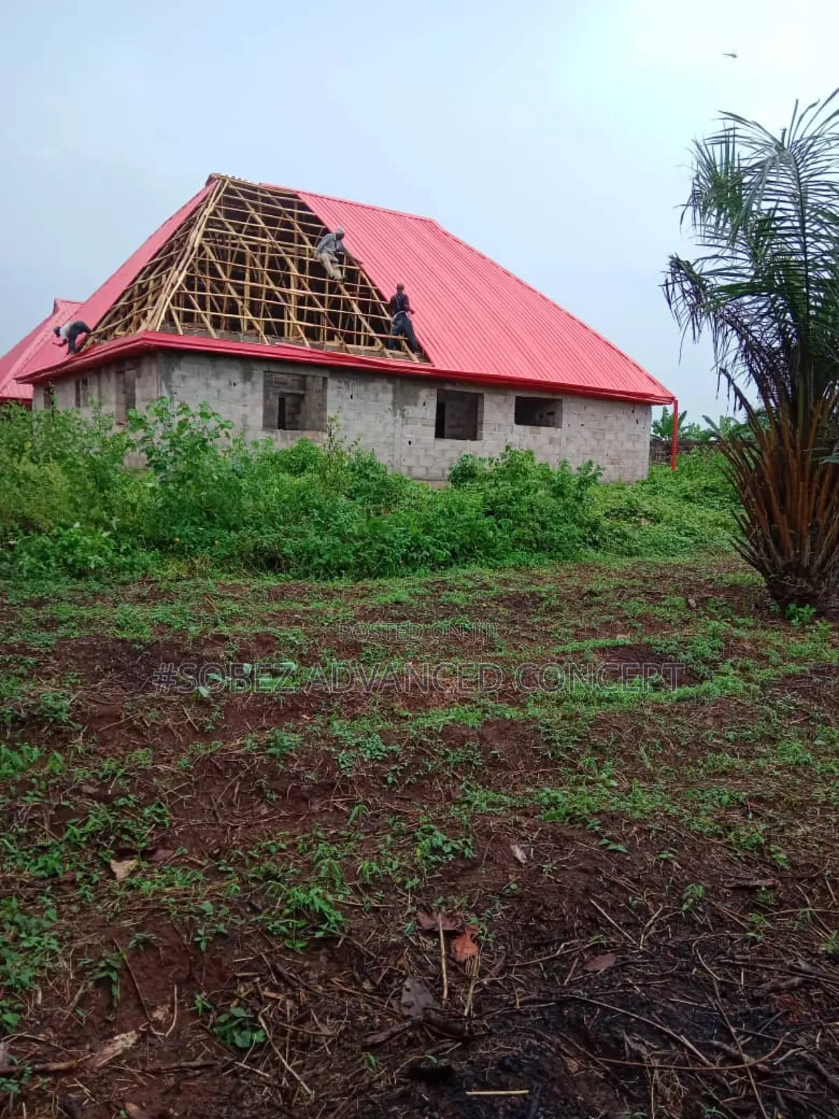 Bright Coloured Red Long Span Roof