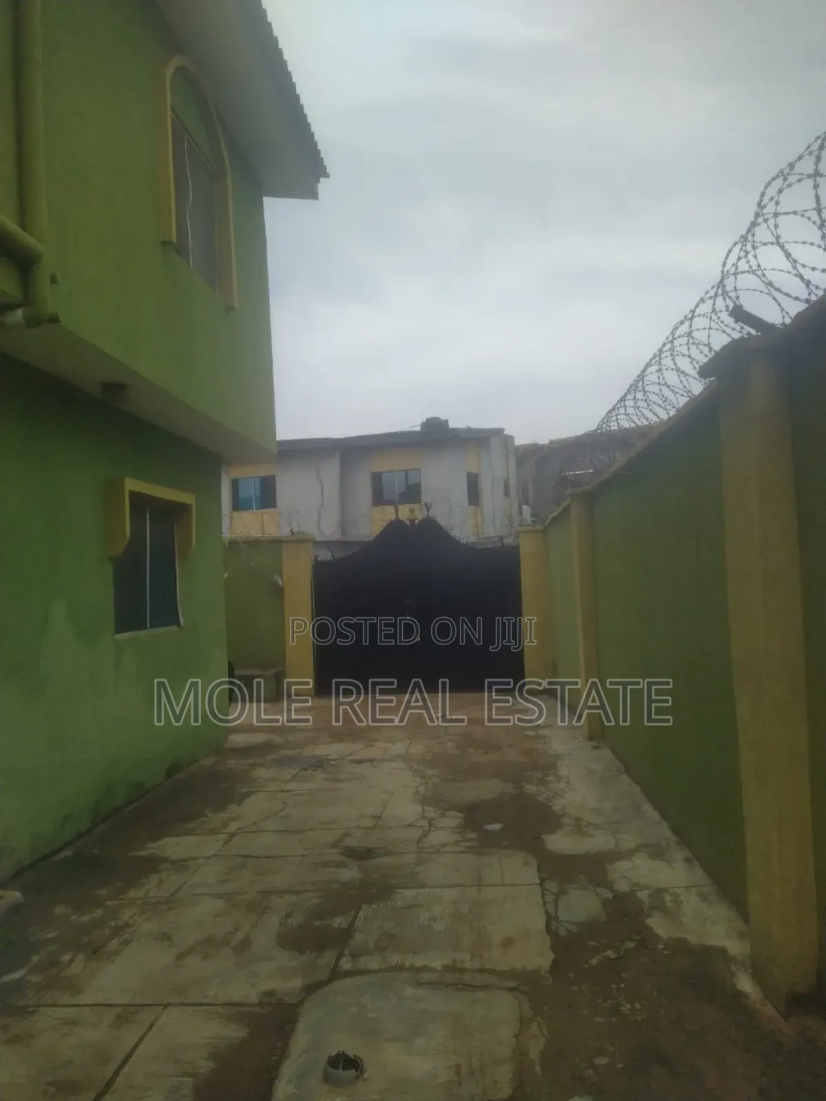 60 Acres of Palm Tree Farm Odogbolu Express
