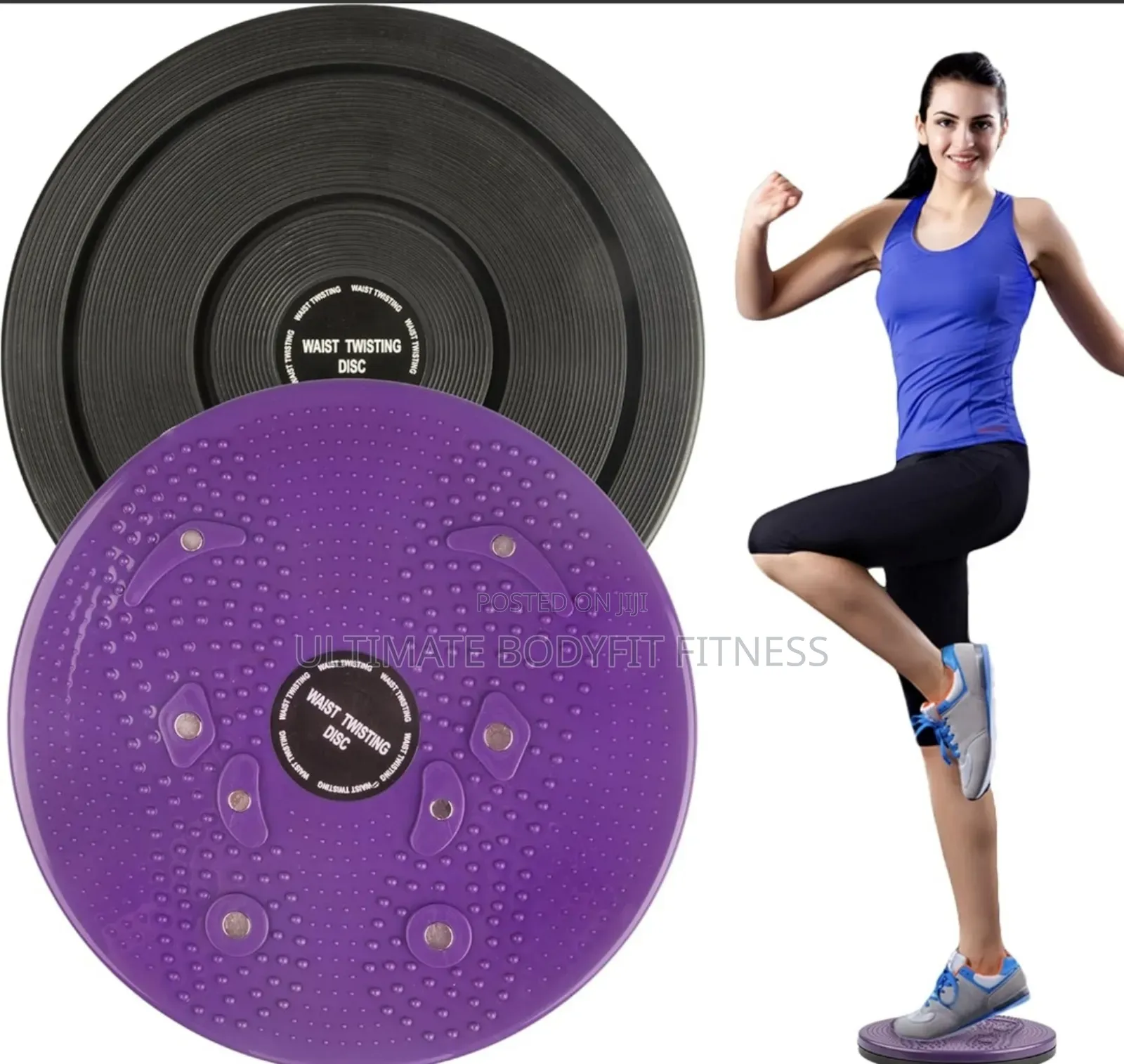 Brand New Waist Twister Disc Board