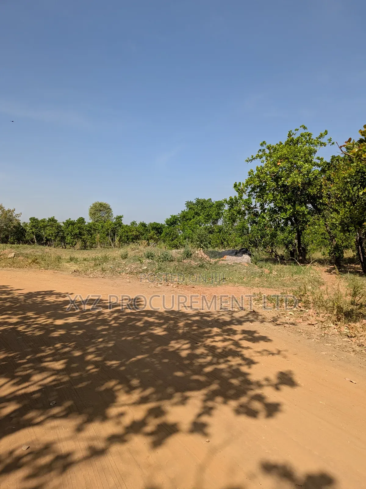 1 Hectare Flat Well Situated Land at Idu Industrial