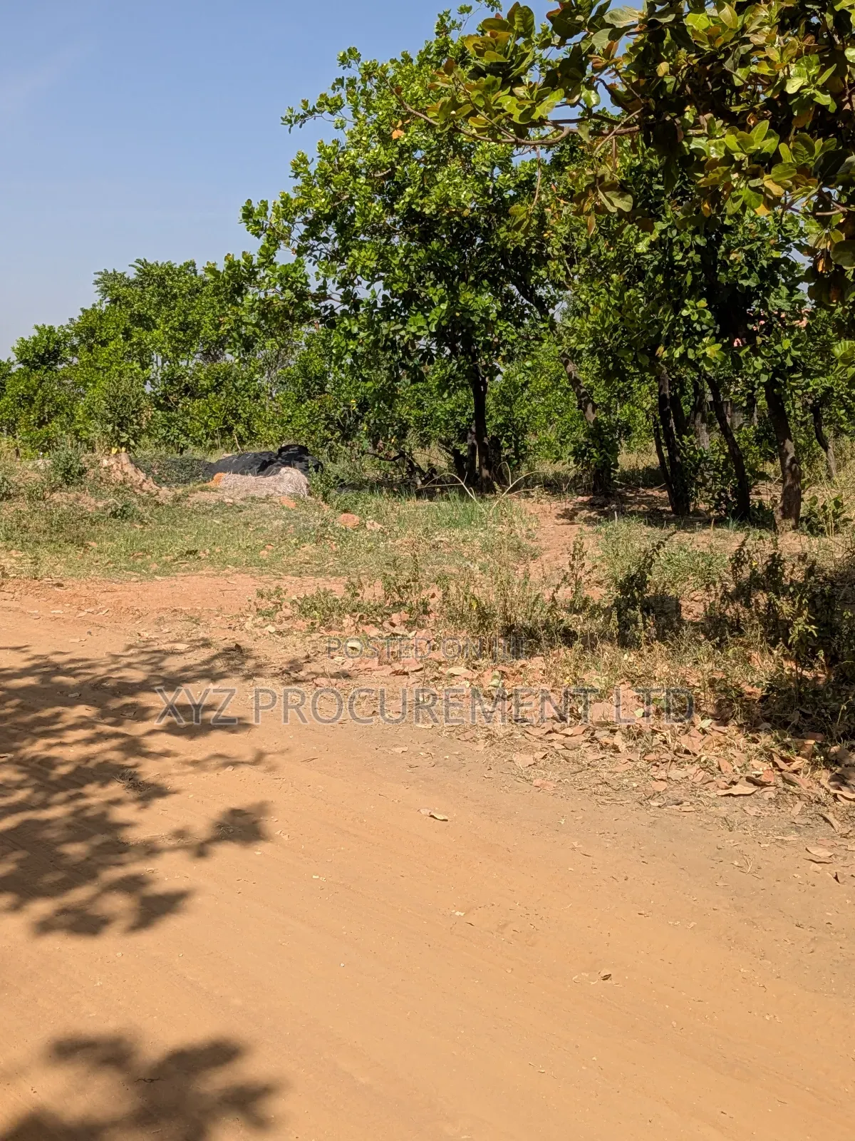 1 Hectare Flat Well Situated Land at Idu Industrial