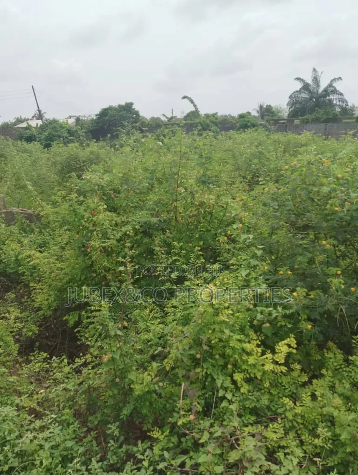 Land Facing Idiroko Road Express Way