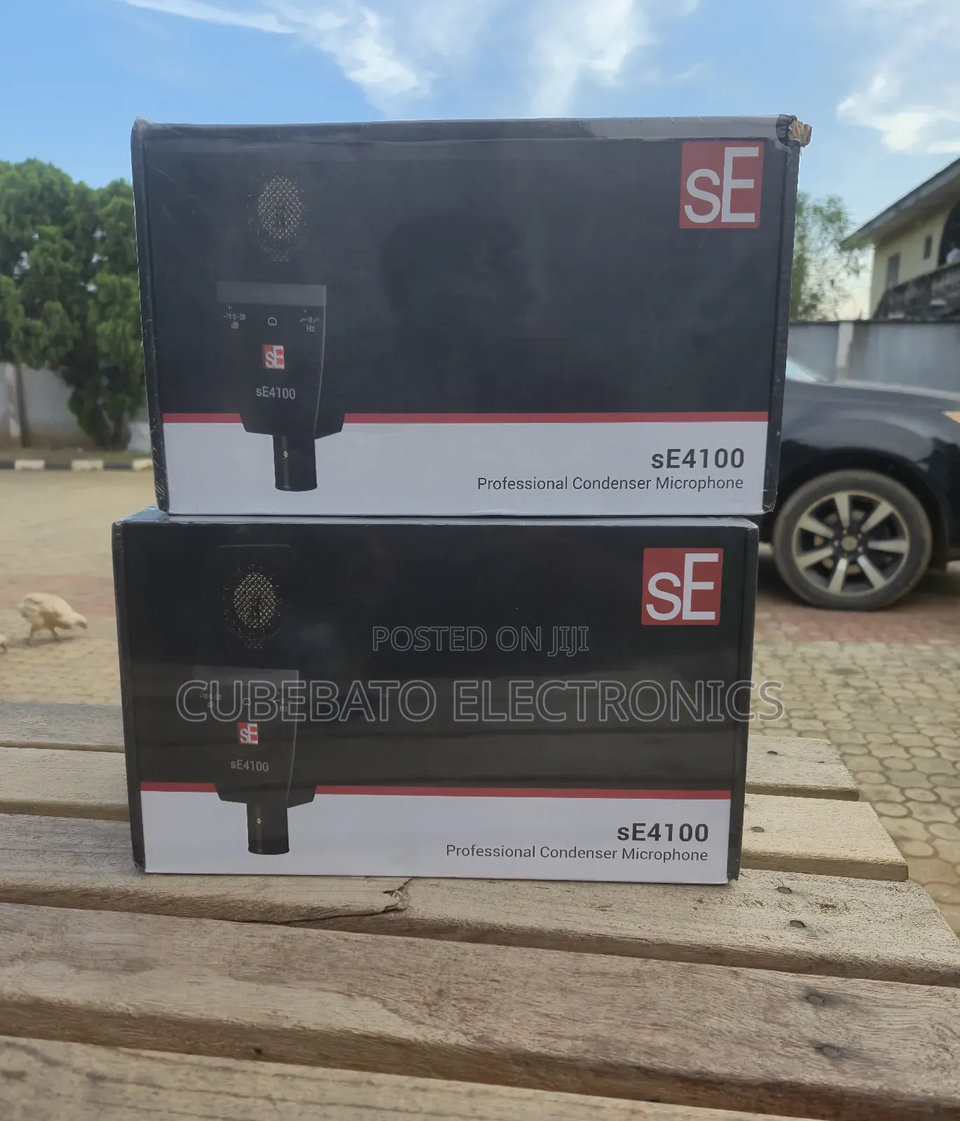 Se Electronics Se4100 Professional Conden Mic