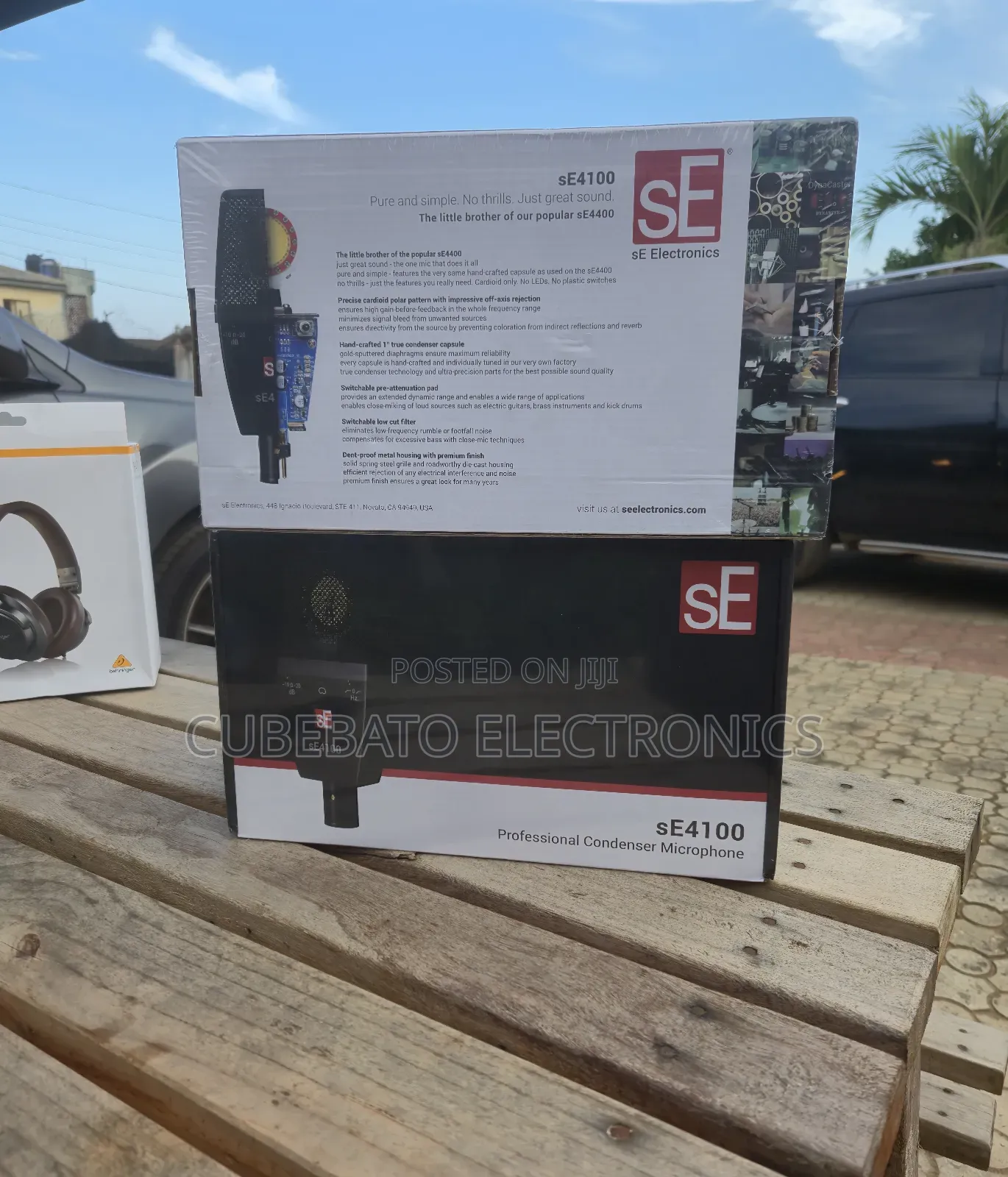 Se Electronics Se4100 Professional Conden Mic