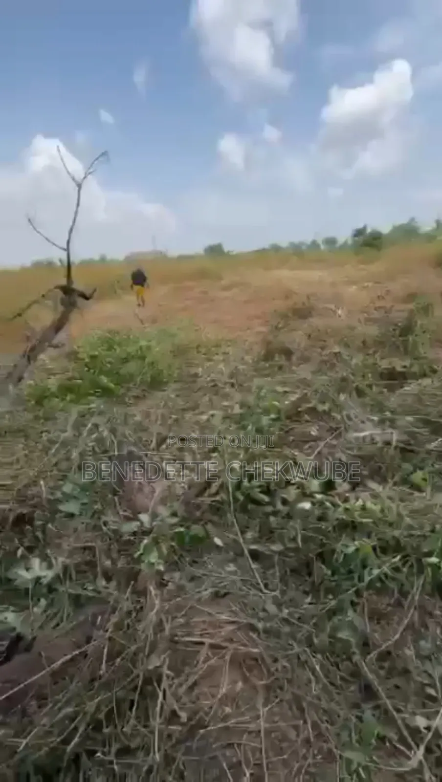 For Sale: One Plot of Land