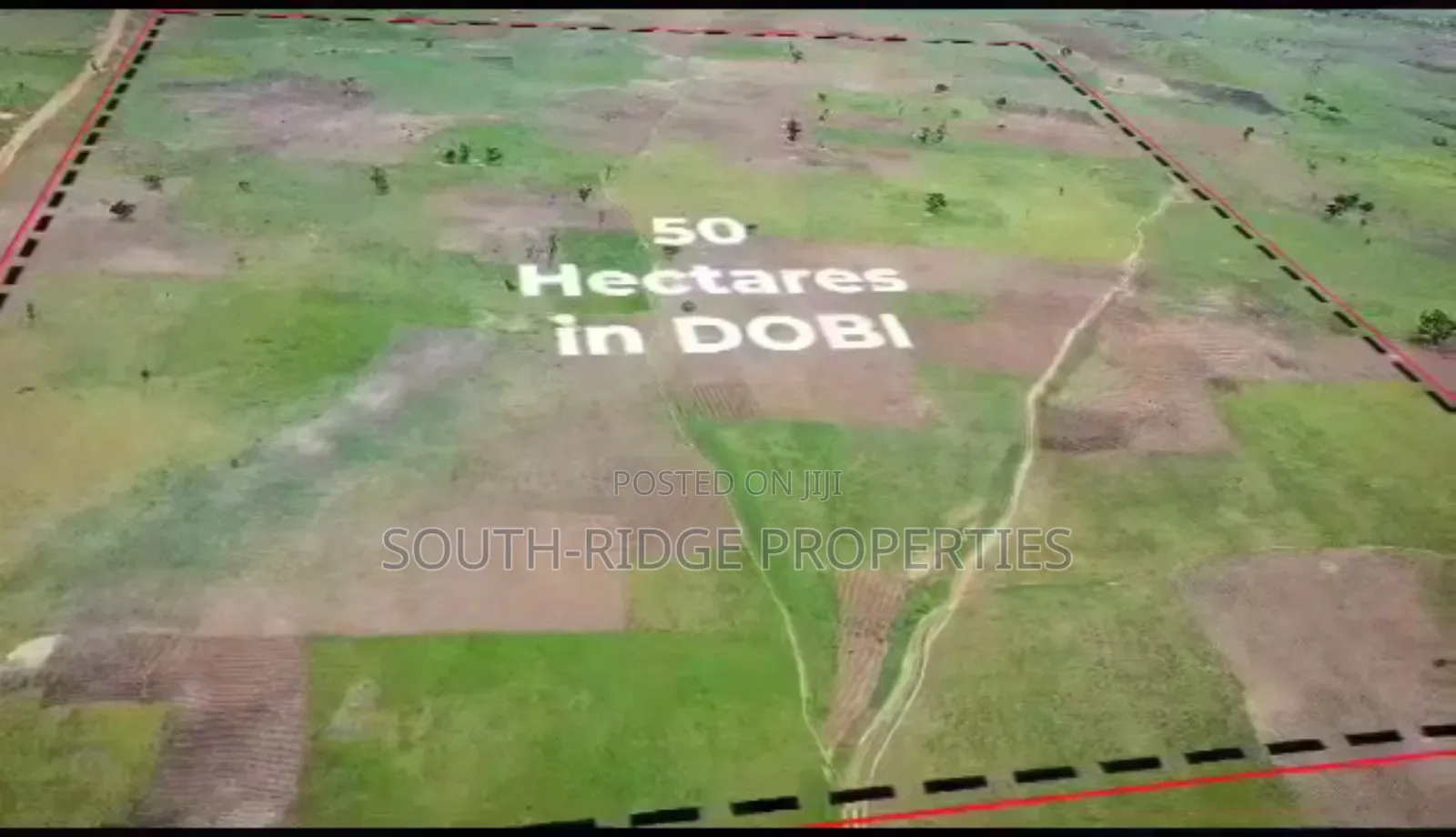 50 Hectares of Estate Land