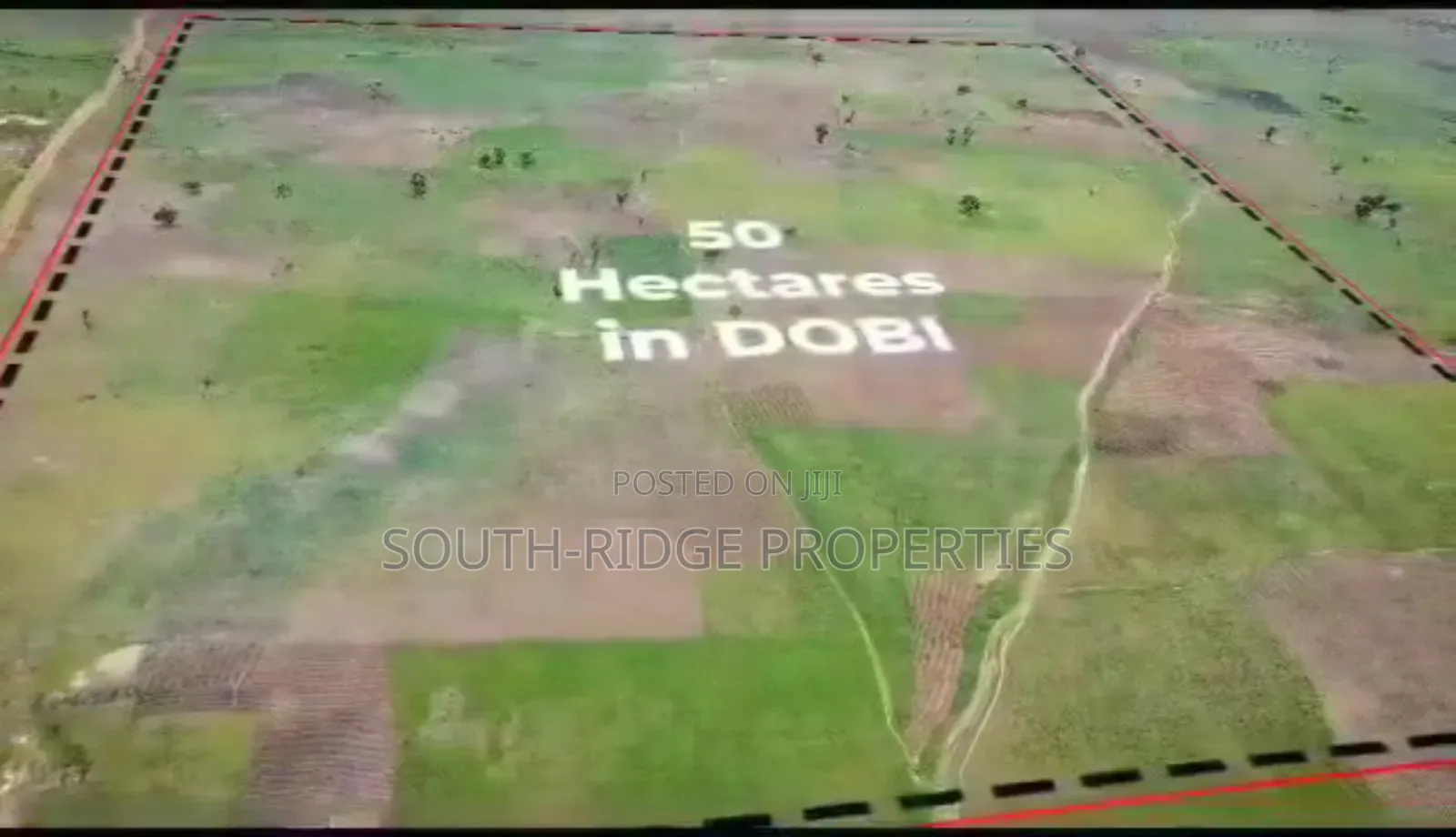 50 Hectares of Estate Land