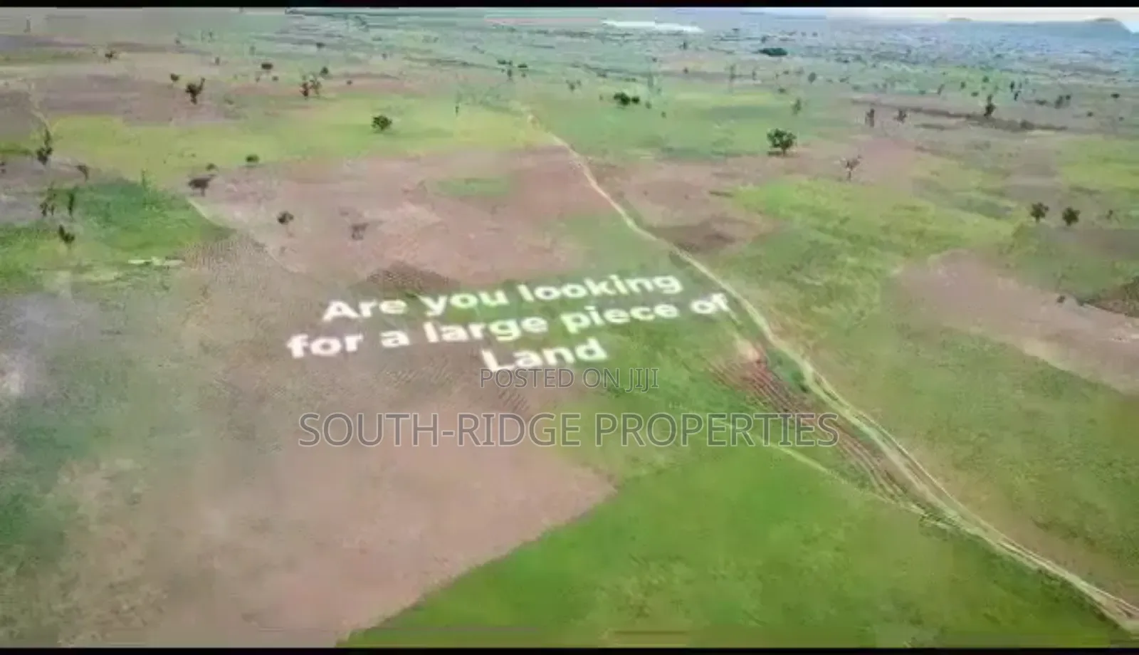 50 Hectares of Estate Land
