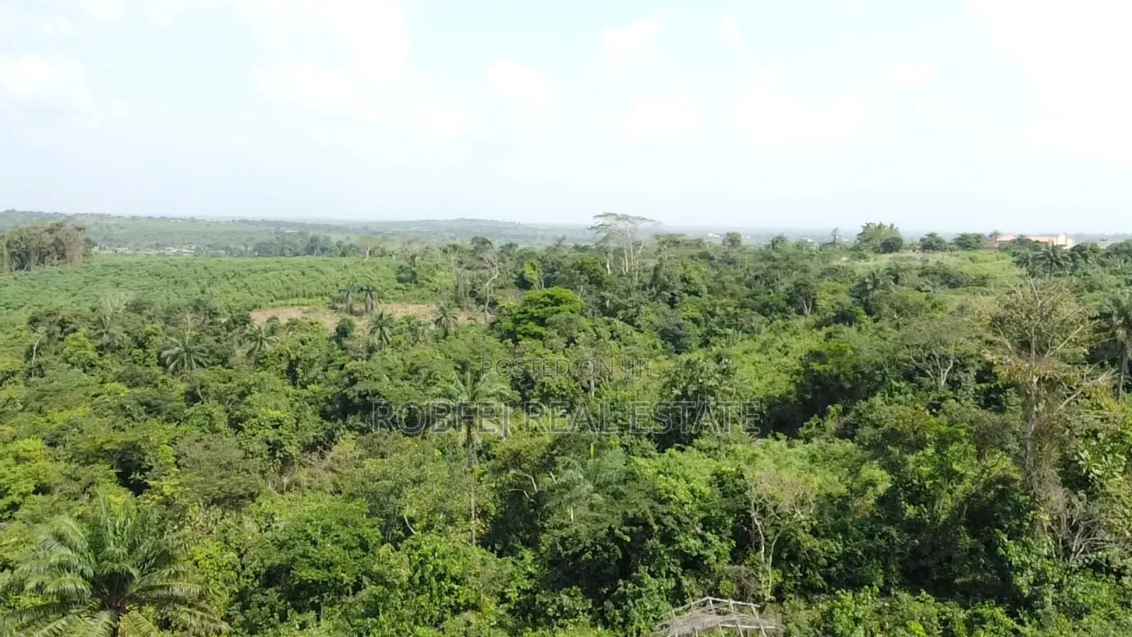 5 Acres Available Wetland for Quick Cheap Sales