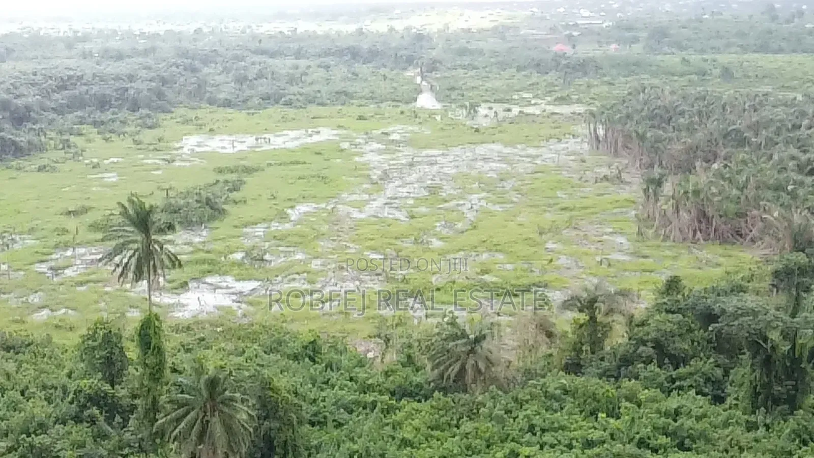 5 Acres Available Wetland for Quick Cheap Sales